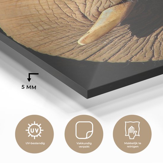 MuchoWow® Peinture sur verre 90x120 cm - Peinture sur verre acrylique - Éléphant - Animaux - Gros plan - Zwart - Photo sur verre - Peintures