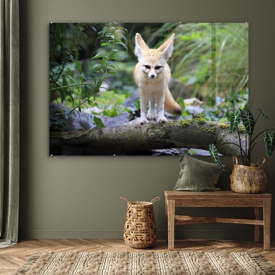 MuchoWow® Peinture sur verre 150x100 cm - Peinture sur verre acrylique - Renard - Branche - Nature - Photo sur verre - Peintures