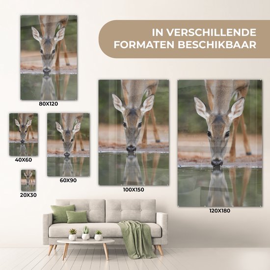 MuchoWow® Peinture sur verre 80x120 cm - Peinture sur verre acrylique - Cerf - Boisson - Water - Réflexion - Photo sur verre - Peintures