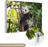 MuchoWow® Glasschilderij 60x40 cm - Schilderij acrylglas - Panda - Dier - Boom - Foto op glas - Schilderijen