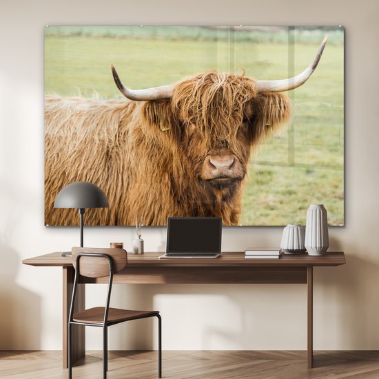 MuchoWow® Glasschilderij 180x120 cm - Schilderij acrylglas - Schotse hooglander - Hoorn - Gras - Foto op glas - Schilderijen