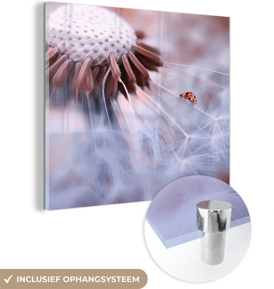 MuchoWow® Glasschilderij 20x20 cm - Schilderij acrylglas - Close-up lieveheersbeestje op paardenbloem - Foto op glas - Schilderijen