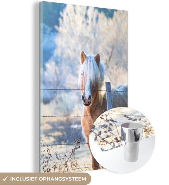 MuchoWow® Glasschilderij 20x30 cm - Schilderij acrylglas - Paard - Winter - Sneeuw - Foto op glas - Schilderijen