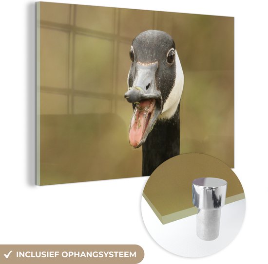 MuchoWow® Peinture sur verre 120x80 cm - Peinture sur verre acrylique - Tête d'oiseau de grande bernache du Canada - Photo sur verre - Peintures