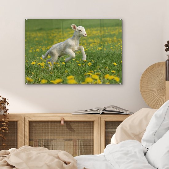MuchoWow® Peinture sur verre 60x40 cm - Peinture sur verre acrylique - Moutons - Fleurs - Jaune - Photo sur verre - Peintures