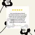 Afbeelding nummer  9