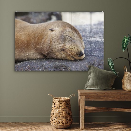 Peinture sur Verre - Gros plan - Animaux - Pierres - 120x80 cm - Peintures sur Verre Peintures - Photo sur Glas
