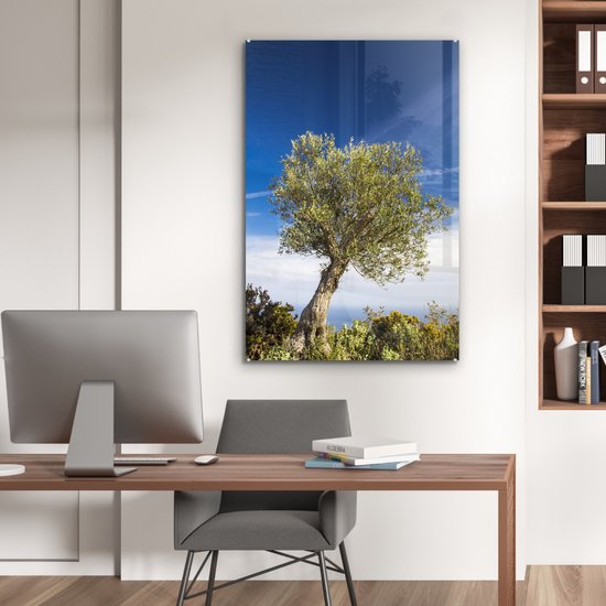 MuchoWow® Glasschilderij 80x120 cm - Schilderij acrylglas - Een olijfboom onder een blauwe lucht - Foto op glas - Schilderijen