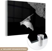 MuchoWow® Glasschilderij 90x60 cm - Schilderij acrylglas - Vleermuis in grot - zwart wit - Foto op glas - Schilderijen
