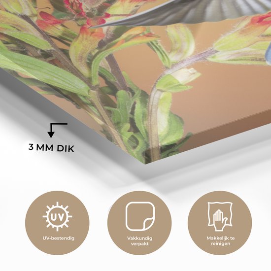 Colibri aux couleurs vives à côté d'une belle fleur rouge Plexiglas 60x40 cm - Tirage photo sur Glas (décoration murale en plexiglas)