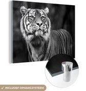 MuchoWow® Glasschilderij 80x60 cm - Schilderij acrylglas - Tijger - Jungle - Zwart - Wit - Foto op glas - Schilderijen