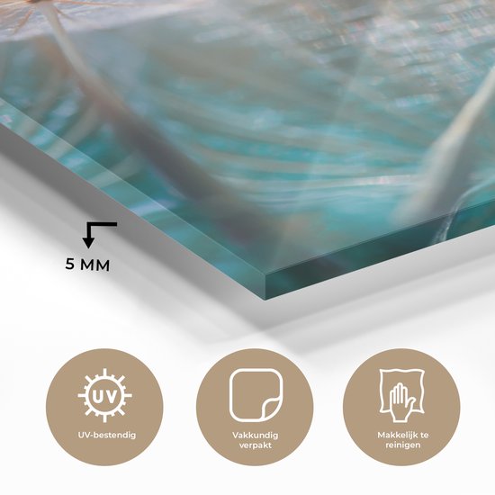 MuchoWow® Peinture sur verre 90x90 cm - Peinture sur verre - Bloem - Pissenlit - Plante - Photo sur verre acrylique - Peintures