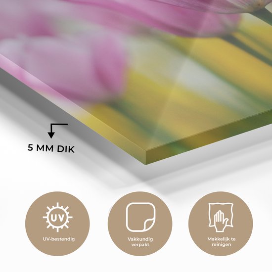 Verre de fleurs de tulipes 120x80 cm - Tirage photo sur verre (décoration murale en plexiglas)