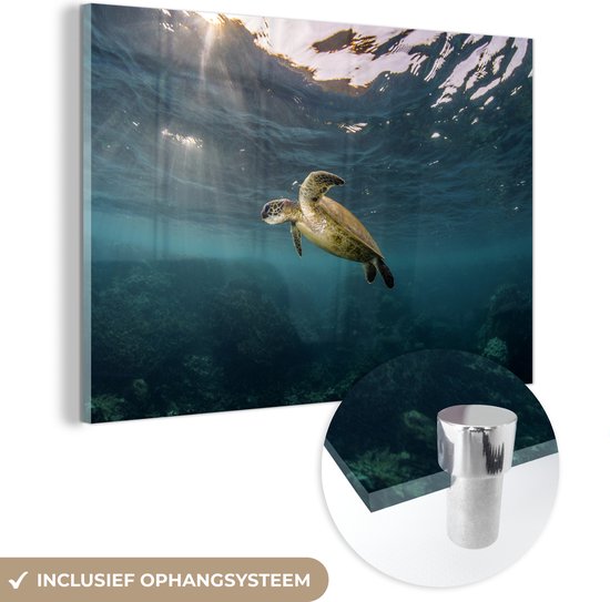 MuchoWow® Glasschilderij 180x120 cm - Schilderij acrylglas - Schildpad in helder water - Foto op glas - Schilderijen