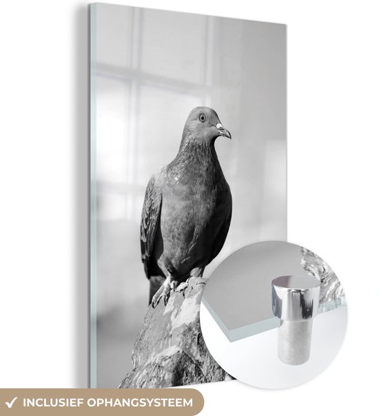 MuchoWow® Glasschilderij 20x30 cm - Schilderij acrylglas - Een duif zit op een steen - zwart wit - Foto op glas - Schilderijen