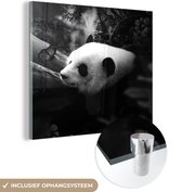 MuchoWow® Glasschilderij 90x90 cm - Schilderij acrylglas - Dieren - Jungle - Panda - Zwart - Wit - Foto op glas - Schilderijen