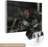 MuchoWow® Glasschilderij 180x120 cm - Schilderij acrylglas - Vogel - Roodborstje - Plant - Foto op glas - Schilderijen