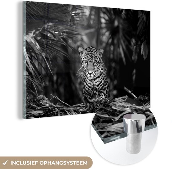 MuchoWow® Glasschilderij 30x20 cm - Schilderij acrylglas - Jonge jaguar in de jungle - zwart wit - Foto op glas - Schilderijen