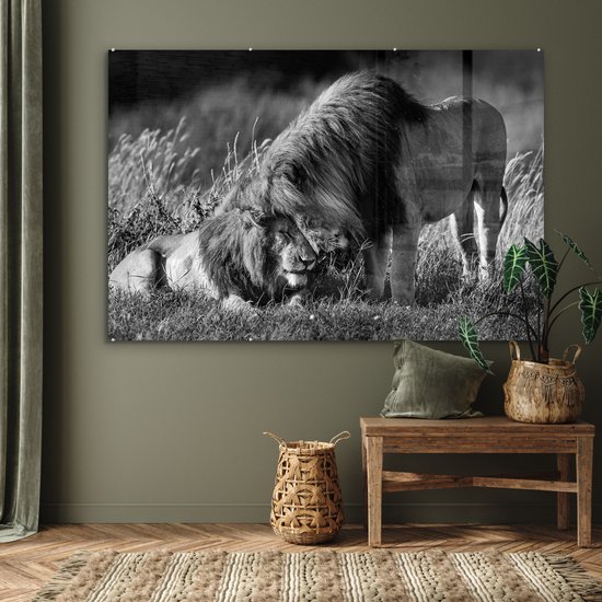 MuchoWow® Peinture sur Verre - Lions enlacés - noir et blanc - 180x120 cm - Peintures sur Verre Peintures - Photo sur Glas