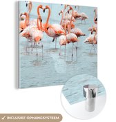 MuchoWow® Glasschilderij 20x20 cm - Schilderij acrylglas - Een groep flamingo's in het water - Foto op glas - Schilderijen