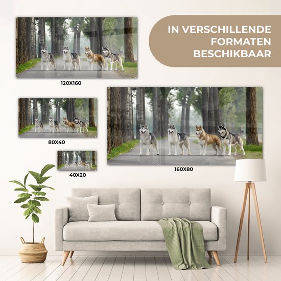 MuchoWow® Peinture sur verre 40x20 cm - Peinture sur verre acrylique - Quatre huskies parmi les arbres - Photo sur verre - Peintures