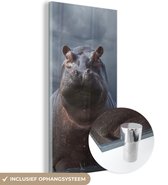 MuchoWow® Glasschilderij 20x40 cm - Schilderij acrylglas - Nijlpaard - Water - Wolken - Foto op glas - Schilderijen