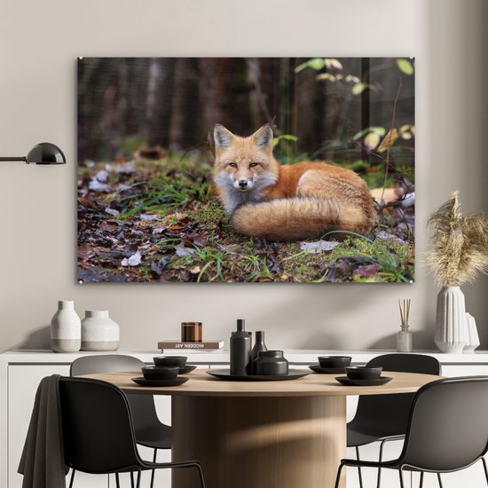 MuchoWow® Glasschilderij 90x60 cm - Schilderij acrylglas - Vos - Bos - Dier - Foto op glas - Schilderijen