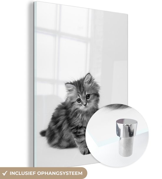 MuchoWow® Glasschilderij 90x120 cm - Schilderij acrylglas - Kitten met witte achtergrond - Foto op glas - Schilderijen