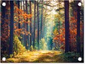 Décoration de Jardin Forêt - Soleil - Nature - Automne - 40x30 cm - Toile de jardin - Poster extérieur
