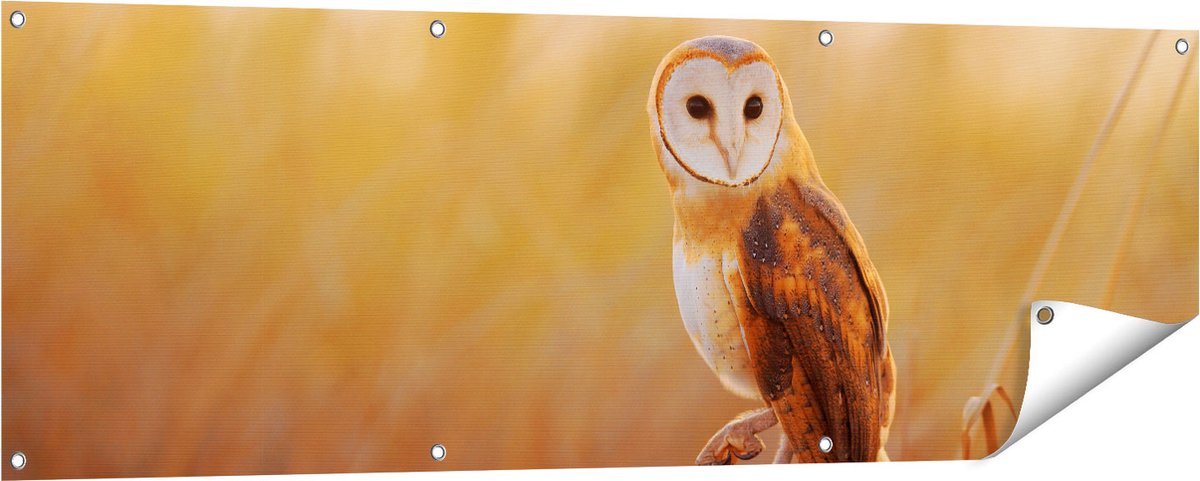 Gards Tuinposter Kerkuil op een Boomstronk - 150x50 cm - Tuindoek - Tuindecoratie - Wanddecoratie buiten - Tuinschilderij Multikleur