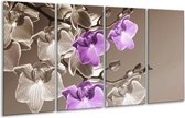 GroepArt - Glasschilderij - Orchidee - Bruin, Paars - 160x80cm 4Luik - Foto Op Glas - Geen Acrylglas Schilderij - 6000+ Glasschilderijen Collectie - Wanddecoratie