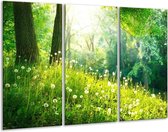 GroepArt - Schilderij -  Natuur - Groen - 120x80cm 3Luik - 6000+ Schilderijen 0p Canvas Art Collectie