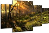 GroepArt - Schilderij -  Natuur - Geel, Groen - 160x90cm 4Luik - Schilderij Op Canvas - Foto Op Canvas