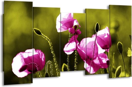 GroepArt - Canvas Schilderij - Klaproos - Roze, Groen, Wit - 150x80cm 5Luik- Groot Collectie Schilderijen Op Canvas En Wanddecoraties