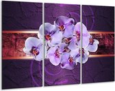 Peinture sur verre d'orchidée | Violet | 120x80cm 3 Liège | Tirage photo sur verre |  F005836