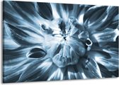 Schilderij Op Canvas - Groot -  Bloem - Blauw - 140x90cm 1Luik - GroepArt 6000+ Schilderijen Woonkamer - Schilderijhaakjes Gratis