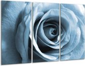 Peinture | Peinture sur toile Rose, Fleur | Bleu, gris, blanc | 120x80cm 3 Liège | Tirage photo sur toile