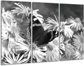 GroepArt - Schilderij -  Bloemen, Vlinder - Zwart, Wit, Grijs - 120x80cm 3Luik - 6000+ Schilderijen 0p Canvas Art Collectie