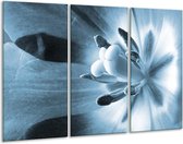 GroepArt - Schilderij -  Bloem - Blauw - 120x80cm 3Luik - 6000+ Schilderijen 0p Canvas Art Collectie