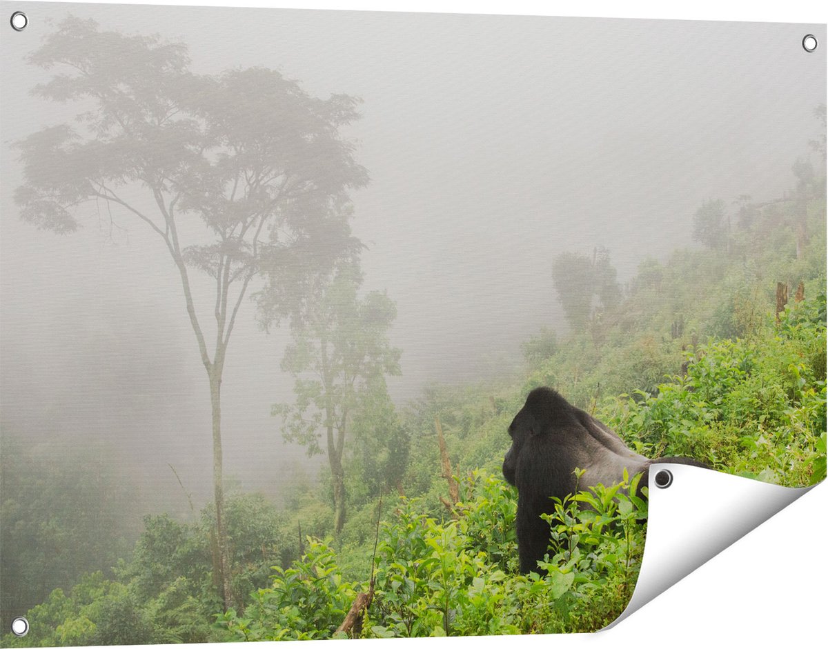 Gards Tuinposter Gorilla in het Woud tijdens de Mist - 90x60 cm - Tuindoek - Tuindecoratie - Wanddecoratie buiten - Tuinschilderij Multikleur