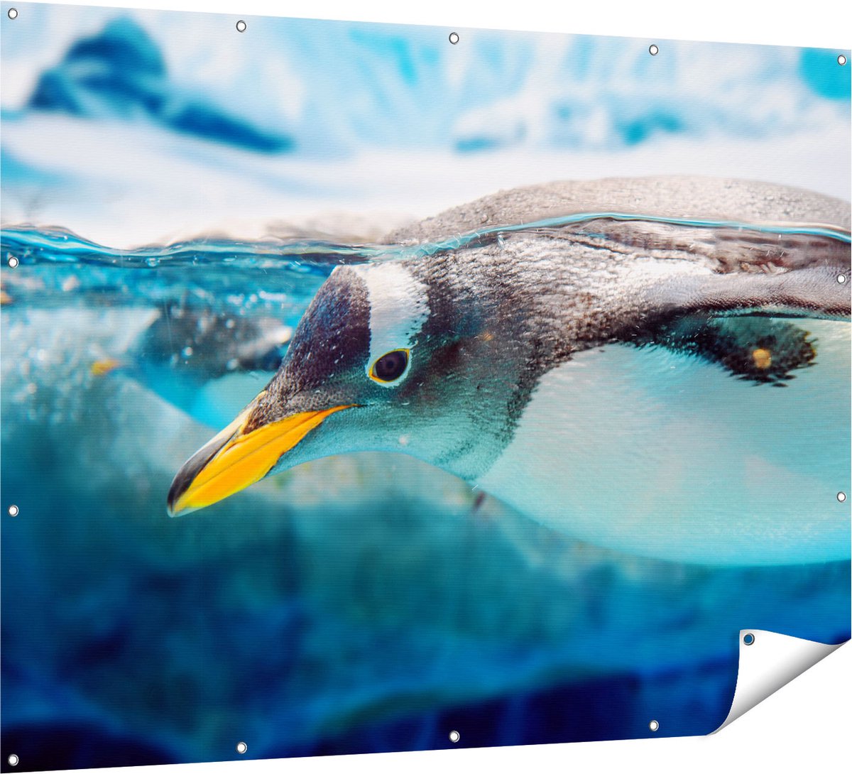 Gards Tuinposter Pingu�n Zwemt onder Water - 160x120 cm - Tuindoek - Tuindecoratie - Wanddecoratie buiten - Tuinschilderij Multikleur