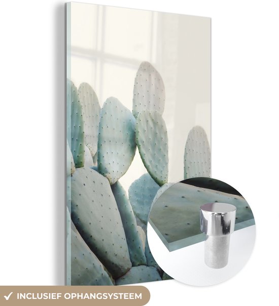 MuchoWow® Glasschilderij 20x30 cm - Schilderij acrylglas - Plant - Groen - Cactus - Natuur - Foto op glas - Schilderijen