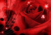 Papier peint Fleur Rose Résumé  | PANORAMIQUE - 250cm x 104cm | Polaire 130g / m2
