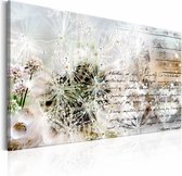 Schilderij - Paardenbloem in de ochtend , 90x60cm