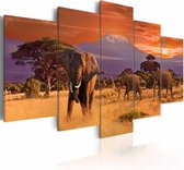 Schilderij - Het marcheren van Olifanten - Afrika, multi-gekleurd, 5luik, wanddecoratie