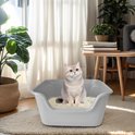 Een grijze, ruime kattenbak met een opening aan de voorkant. Een kat met witte en grijze vacht zit in de bak op kattenbakvulling.