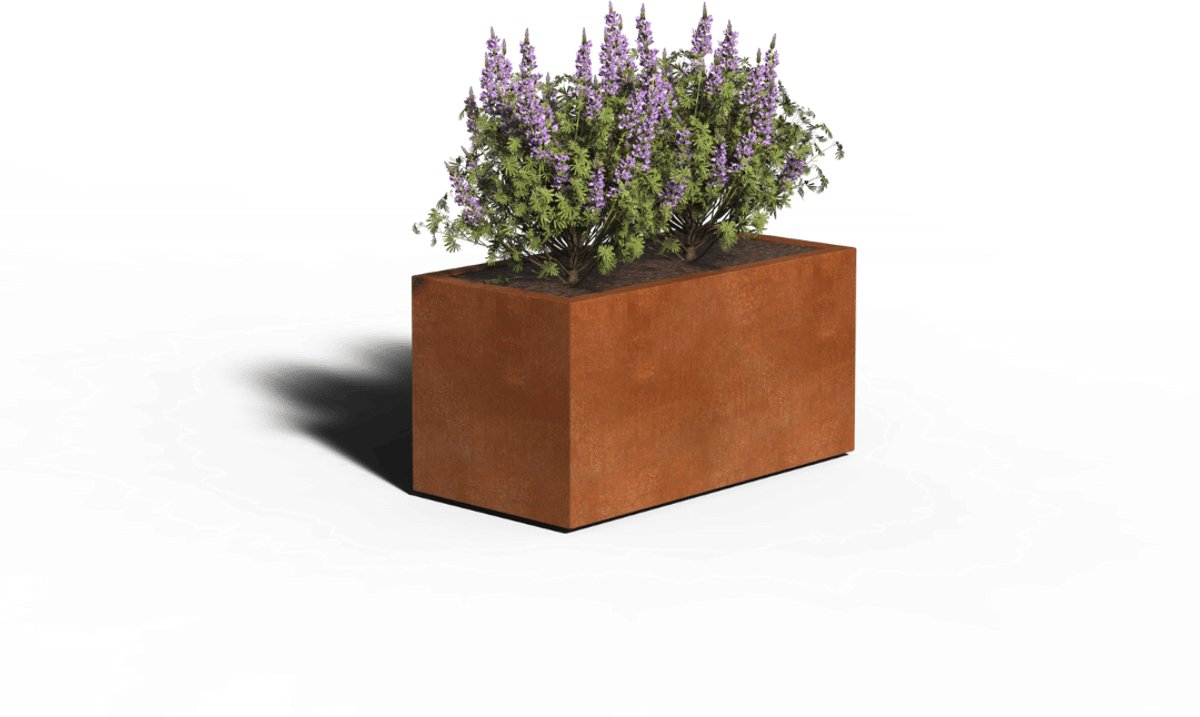 Cortenstaal Plantenbak Rechthoek | Gelast | 100 x 50 x 50 | Met bodem