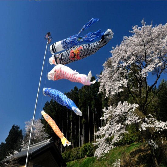 EGoods - Set van 5 stuks Japanse vlag Windsok Sailfish Koinobori Veelkleurige Vis Banner