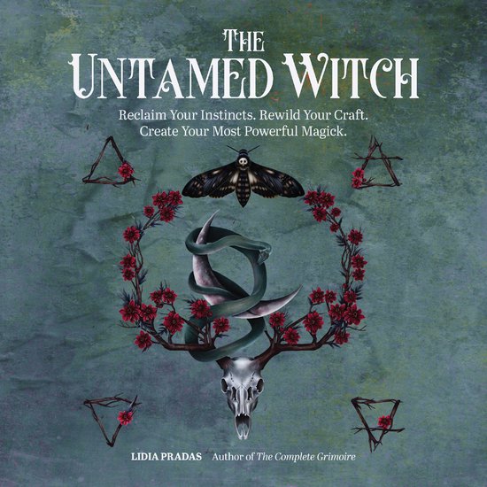 The Untamed Witch - cover