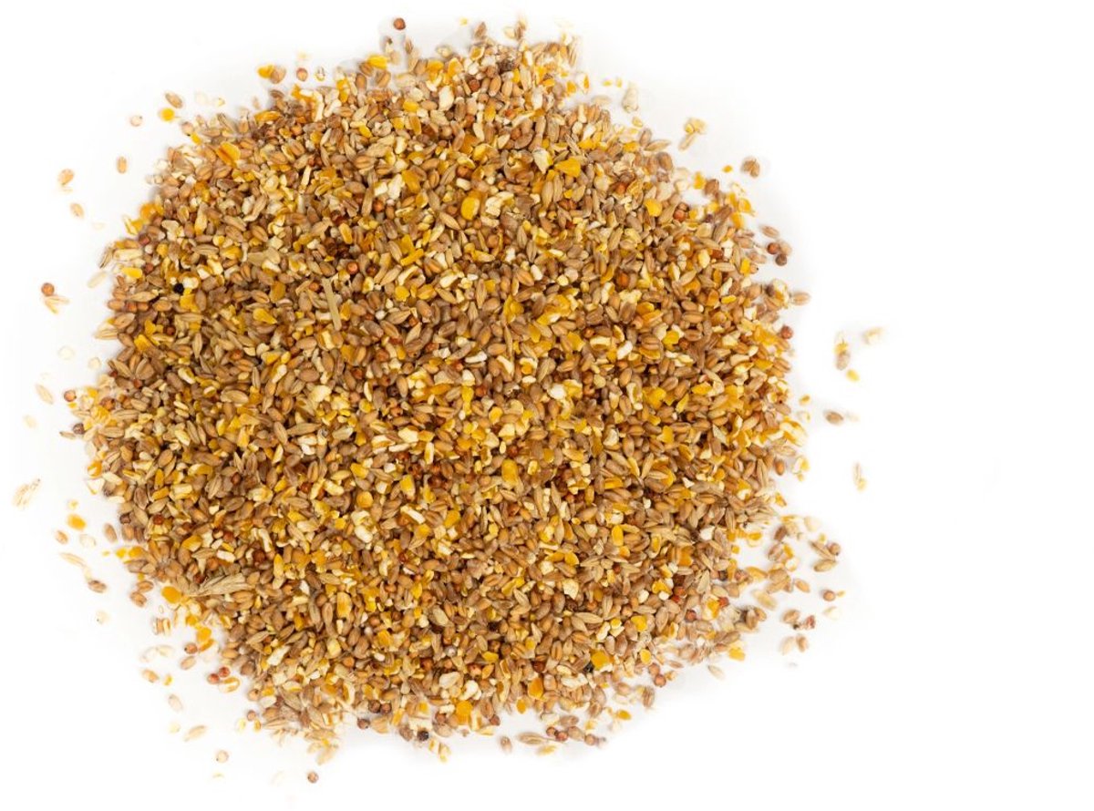 Kippenvoer 20kg Graanmix met Mais